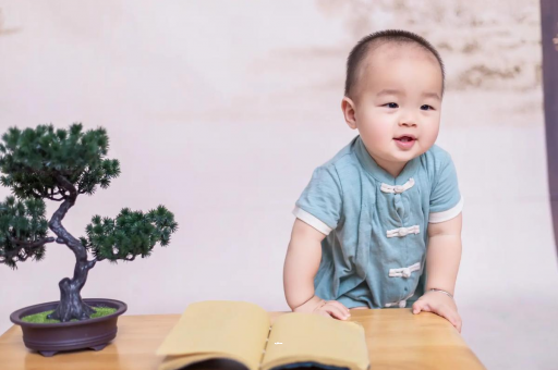 汝州可爱的企鹅宝宝